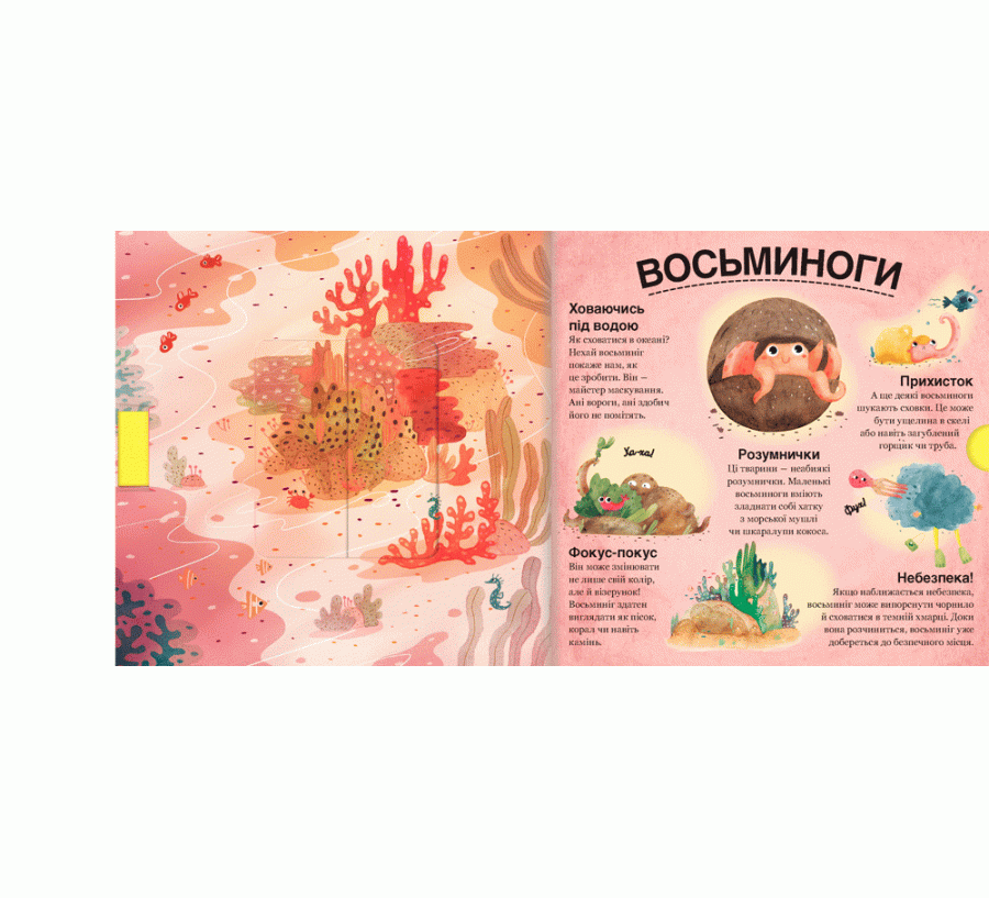 Книга Хто ховається між листям й у воді? - Фото 3