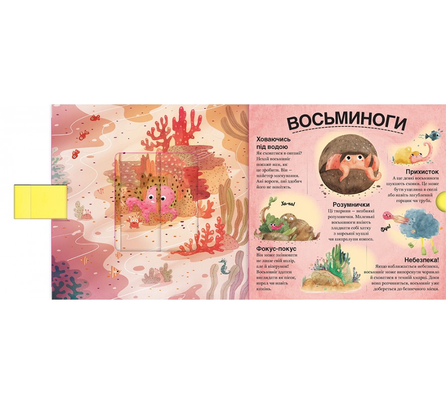 Книга Хто ховається між листям й у воді? - Фото 5