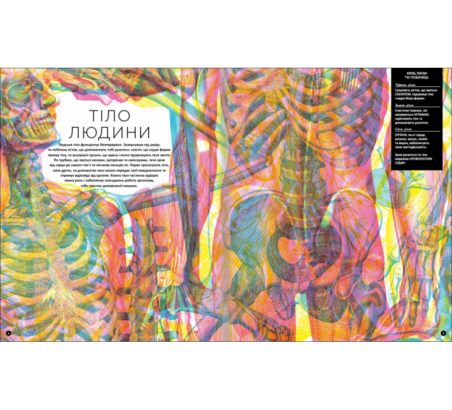 Книга Прихований світ людського тіла - Фото 3