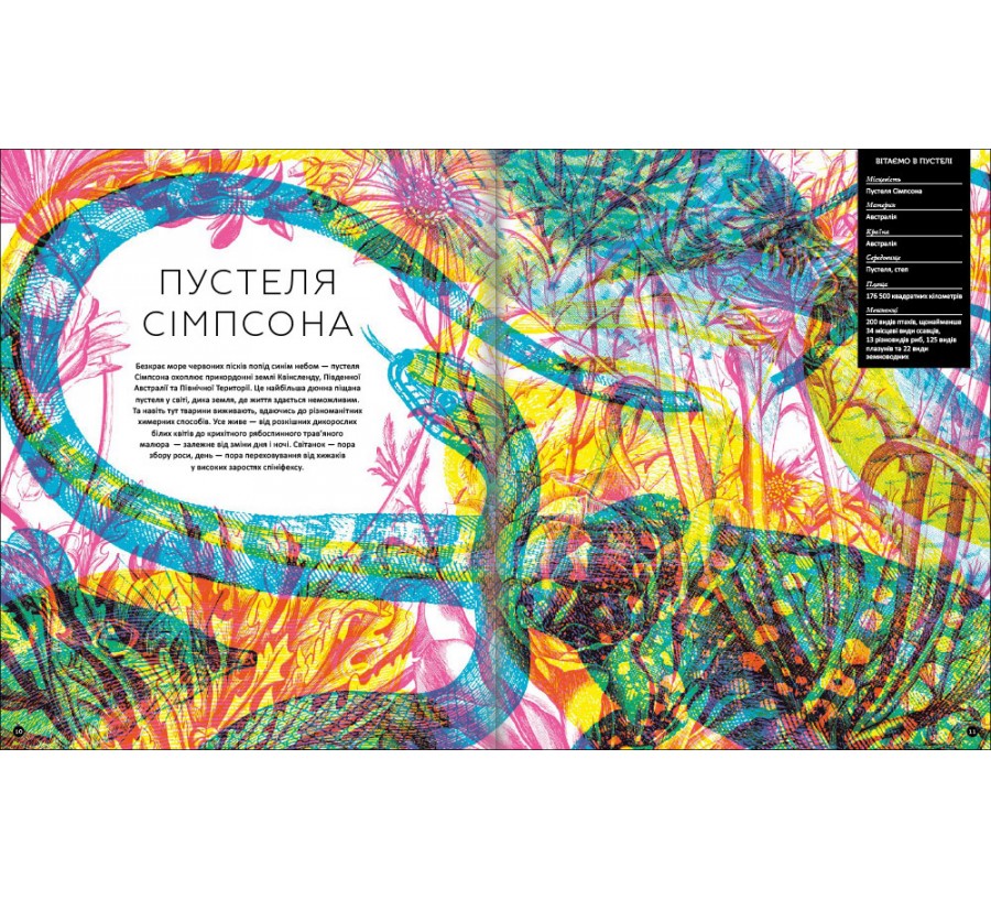 Книга Приховані дива - Фото 5