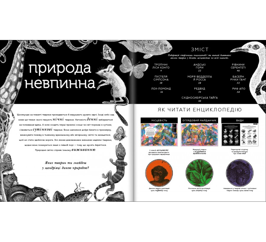 Книга Приховані дива - Фото 6